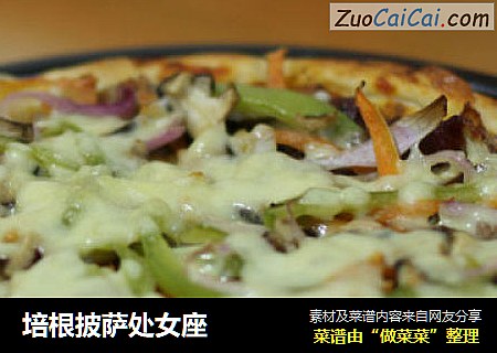 培根披萨处女座