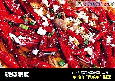 辣烧肥肠