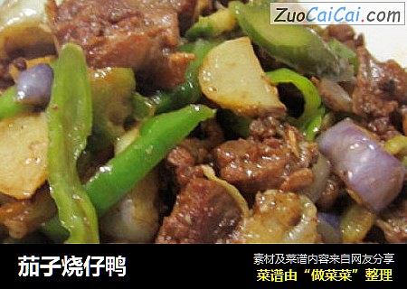 茄子烧仔鸭
