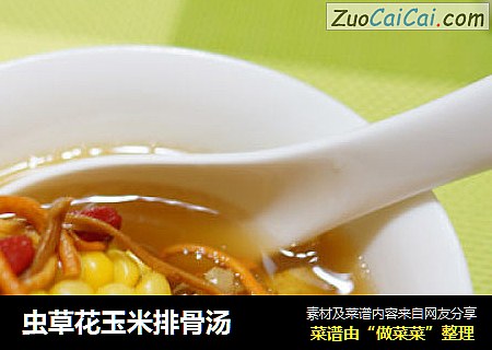 虫草花玉米排骨汤