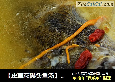 【虫草花黑头鱼汤】---滋补鲜美靓汤