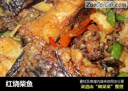 红烧柴鱼