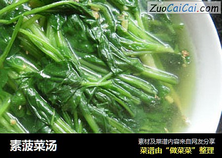 素菠菜汤