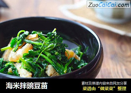 海米拌豌豆苗