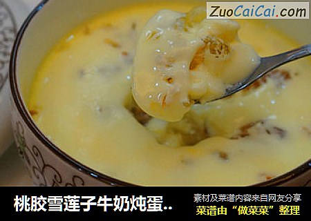 桃胶雪莲子牛奶炖蛋——特别的蛋奶冻蛋奶羹