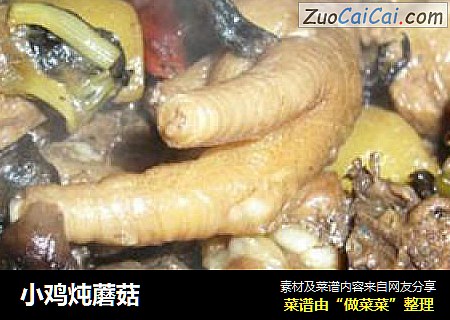 小鸡炖蘑菇