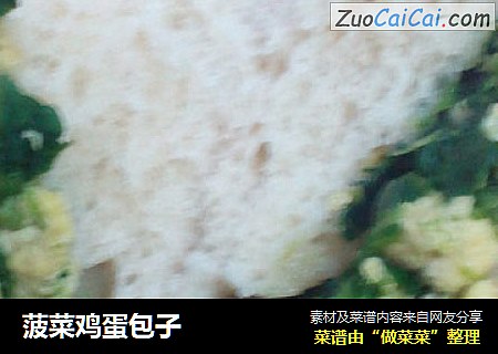 菠菜鸡蛋包子