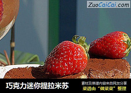 巧克力迷你提拉米苏