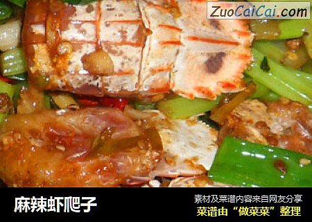 麻辣虾爬子