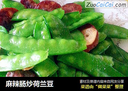 麻辣肠炒荷兰豆