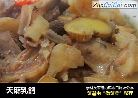 天麻乳鸽