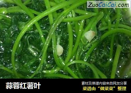 蒜蓉红薯叶