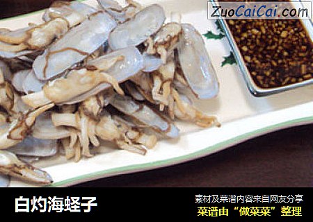 白灼海蛏子