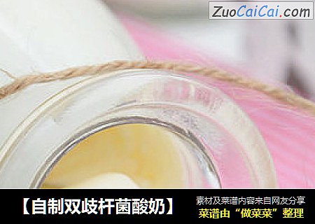 【自制双歧杆菌酸奶】