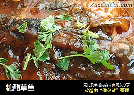 糖醋草鱼