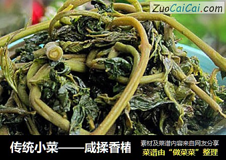 传统小菜——咸揉香椿