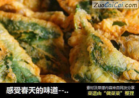 感受春天的味道--香炸薄荷