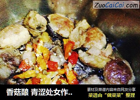 香菇酿青涩处女作第一次