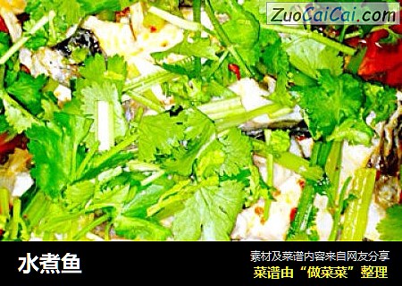 水煮鱼