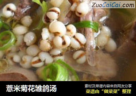薏米菊花雏鸽汤