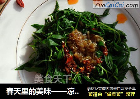 春天里的美味——凉拌枸杞芽
