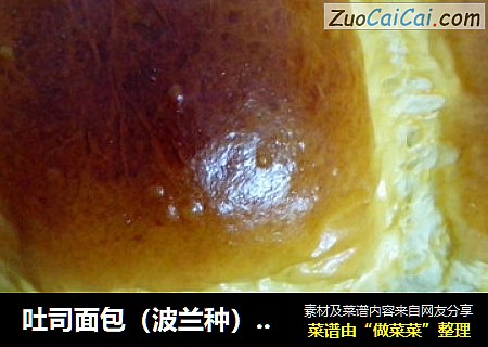 吐司面包（波兰种）--棉絮般的面包