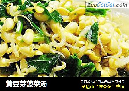 黄豆芽菠菜汤