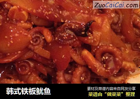 韩式铁板鱿鱼