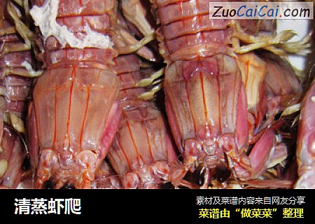 清蒸虾爬