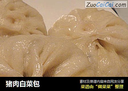 猪肉白菜包