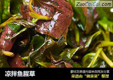 凉拌鱼腥草