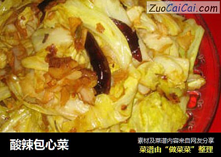 酸辣包心菜