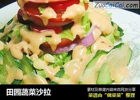 田园蔬菜沙拉