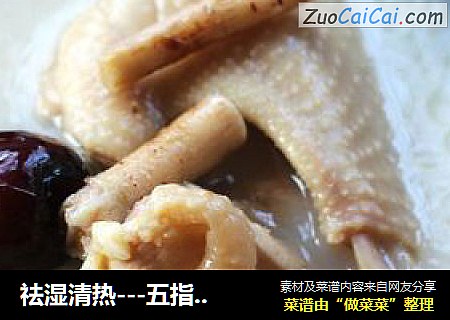 祛湿清热---五指毛桃煲鸡汤