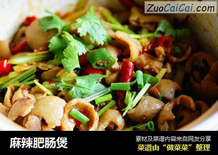 麻辣肥肠煲