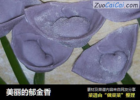 美丽的郁金香