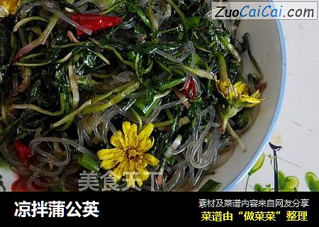 凉拌蒲公英
