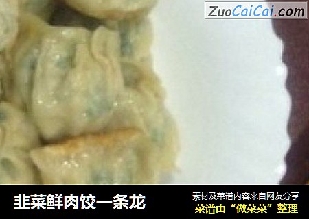 韭菜鲜肉饺一条龙