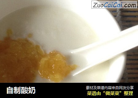 自制酸奶