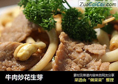 牛肉炒花生芽
