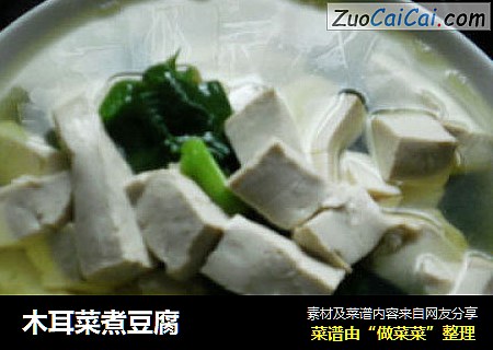 木耳菜煮豆腐