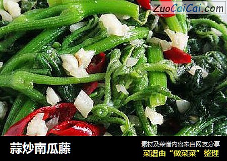 蒜炒南瓜藤