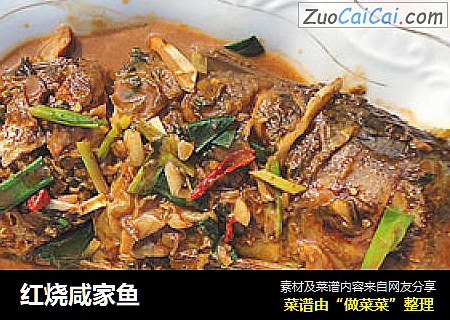 红烧咸家鱼