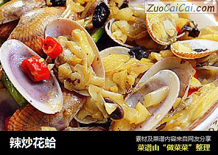 辣炒花蛤