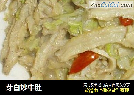 芽白炒牛肚