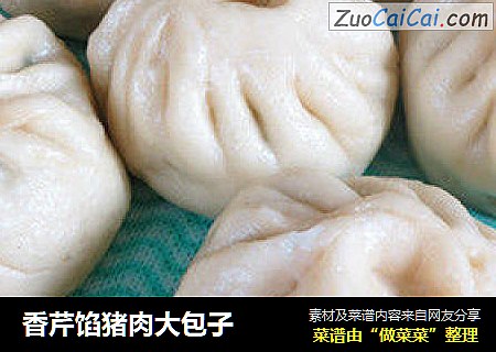 香芹馅猪肉大包子