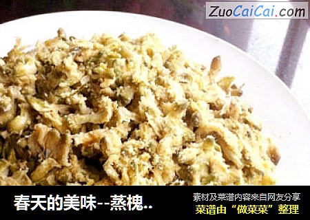 春天的美味--蒸槐花饼