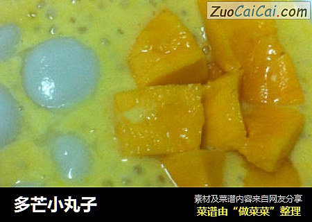 多芒小丸子