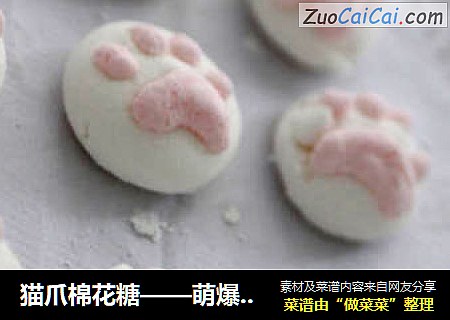 猫爪棉花糖——萌爆你的眼球，和猫肉垫一样的手感哦~~