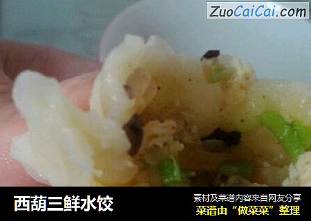 西葫三鲜水饺